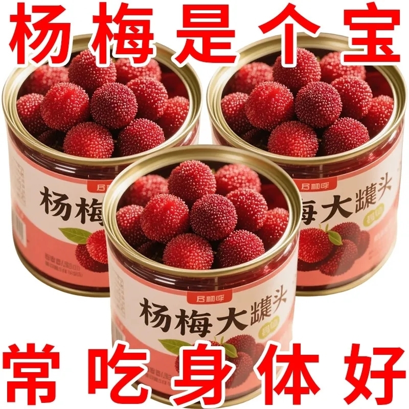 糖水杨梅罐头正品新鲜现摘大果鲜果水果罐头大罐商用蛋糕烘焙铁罐