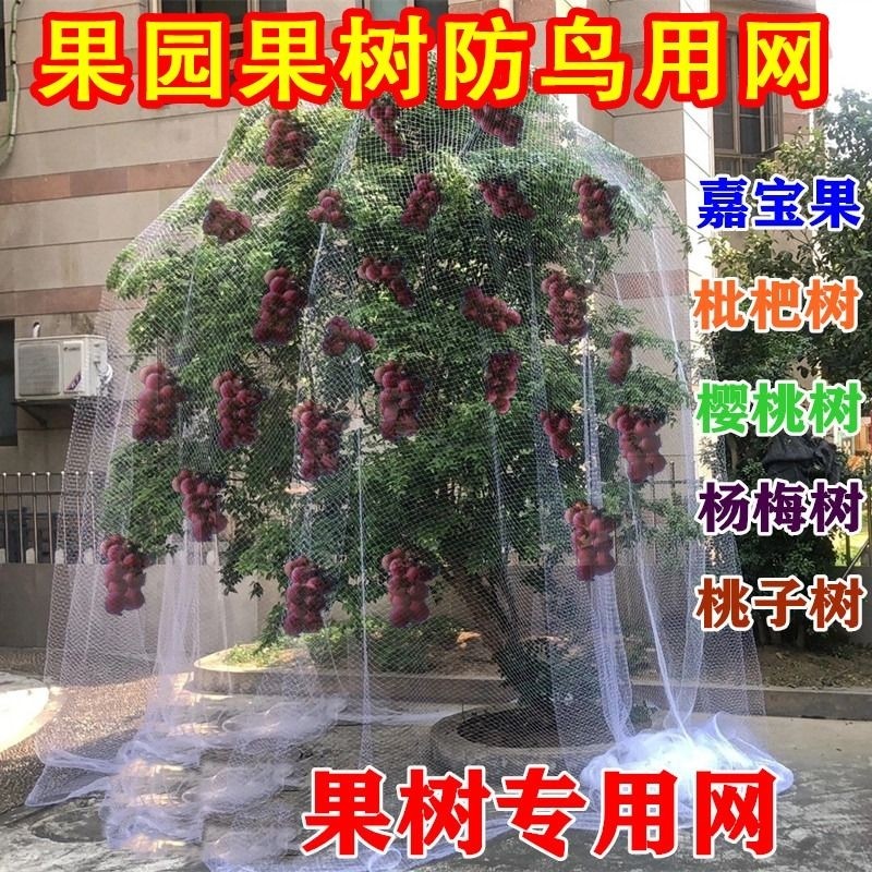 2.0防鸟网果树果园防护网阳台鱼塘樱桃树葡萄树泥鳅养殖网杨梅