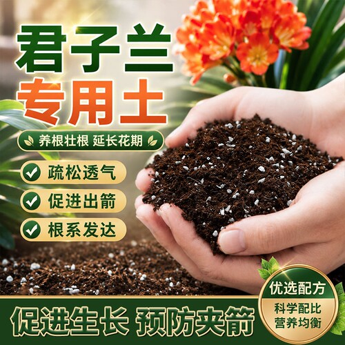 君子兰专用营养土养花通用专用土家用盆栽疏松透气泥炭土种植土壤