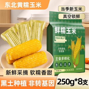 邹有才东北黄糯玉米2025新货新鲜采摘粗粮主食饱腹代餐黄苞米真空