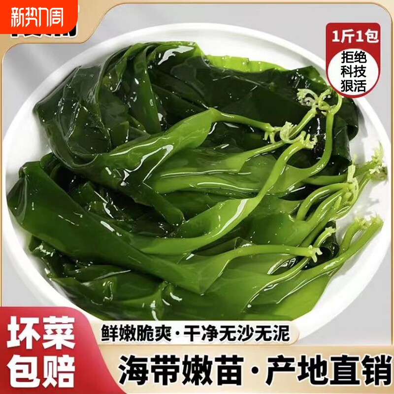 霞浦海带苗嫩特级新鲜盐渍海带嫩苗裙带菜火锅食材商用新鲜鞭炮笋