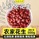 新 东北红衣生花生米500g黑龙江四粒红花生仁新鲜红皮不带壳生