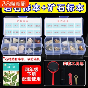 四年级科学下册矿石岩石标本与矿物盒装科学课石头土壤实验套装花岗岩地质教学教具云母采集五色土观察化石