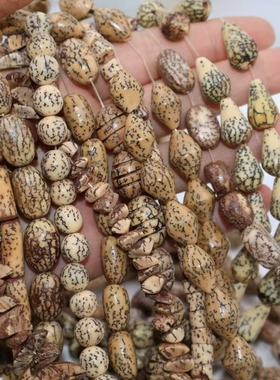 守源 天然蜜瓜菩提异形珠diy手串箱包挂件配饰佛珠文玩配件批发材