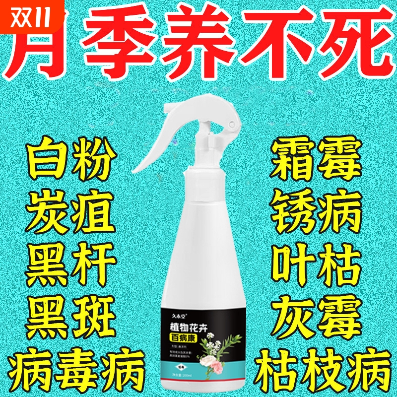月季黄叶烂根白粉黑斑枯枝烂叶植物防护营养液防虫有机液体肥料S