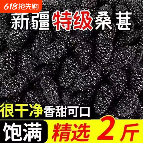 桑葚干黑桑椹特级泡水泡酒新疆自然晾干搭枸杞官方旗舰店正品新鲜