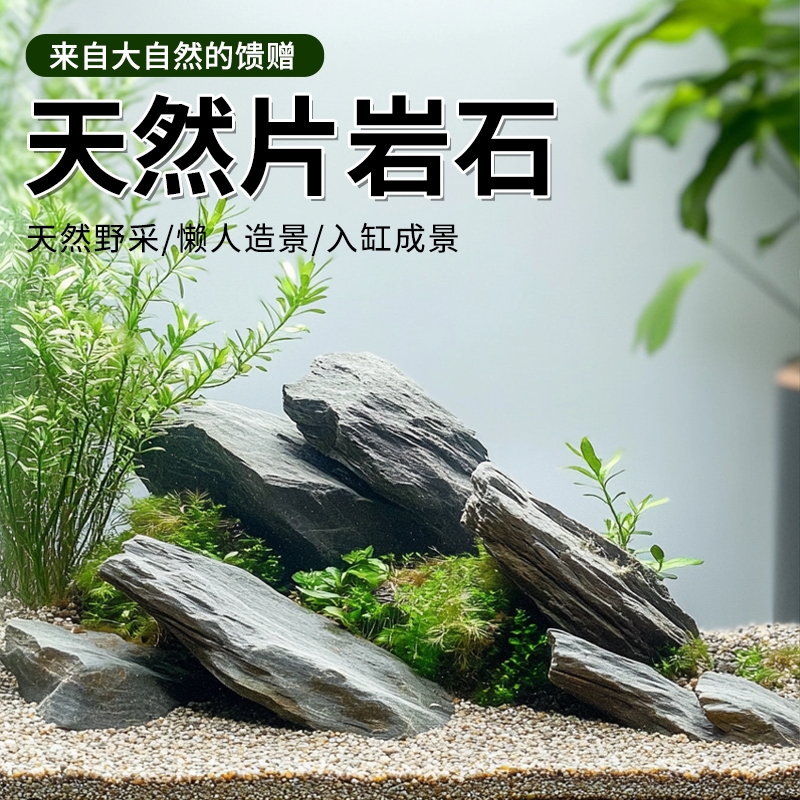 鱼缸造景石原生溪流石主石大块岩片石头底砂天然原石专用龟缸躲避
