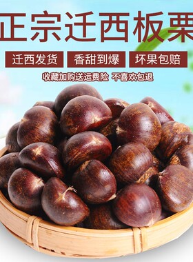 真迁西板栗产地直发坏果包赔