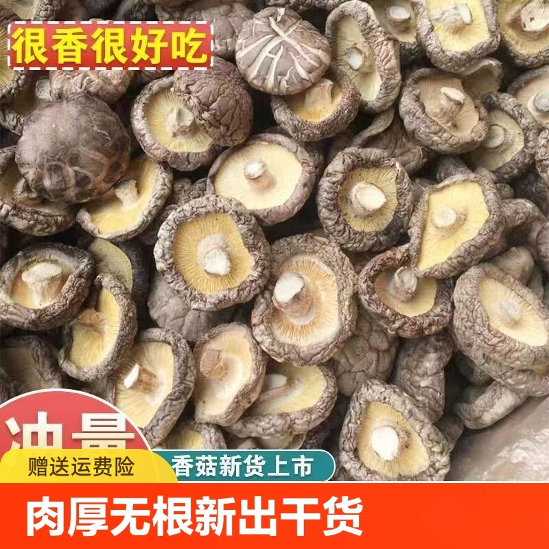 福建无硫香菇冬菇小个蘑菇肉厚无根新出干货煲汤食材直发新货美味