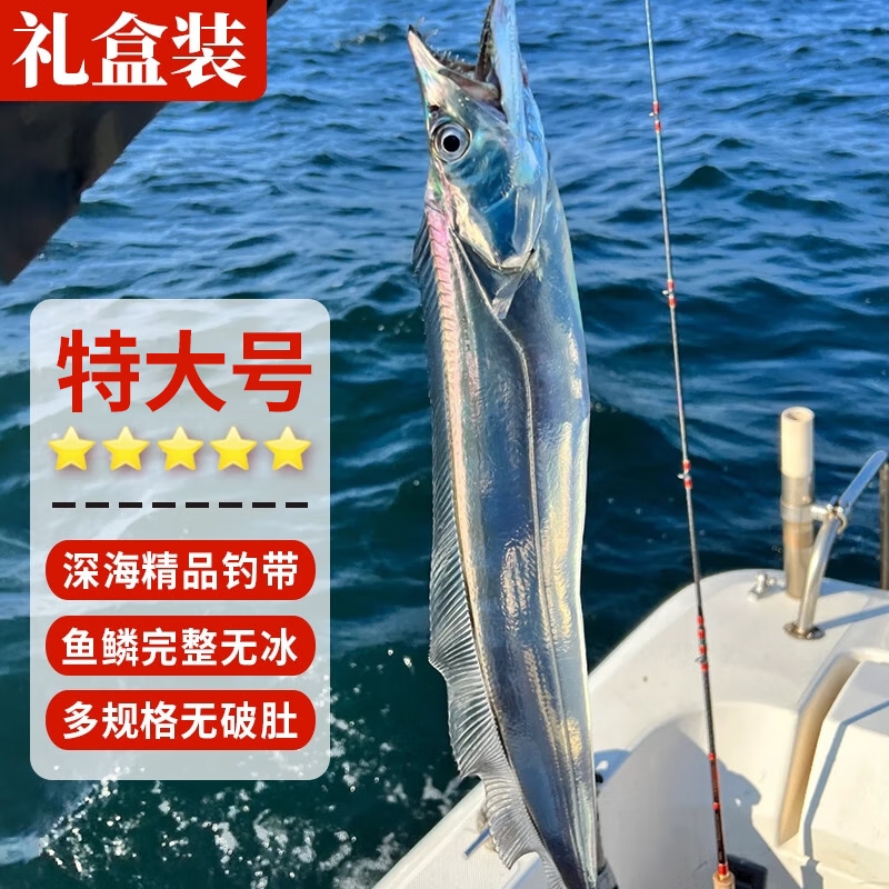 整条带鱼新鲜冷冻刀鱼深海钓带中段特级大小眼东海整箱10斤水产