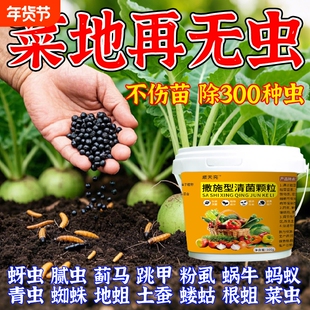 撒施型清病菌颗粒除土壤害虫防土传专用肥蔬菜瓜果菜地通用颗粒肥