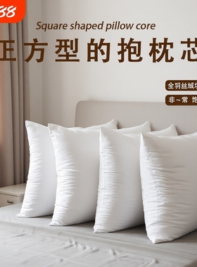 抱枕芯内胆455060沙发靠枕腰枕靠背垫套靠垫羽丝绒长方形舒适真空