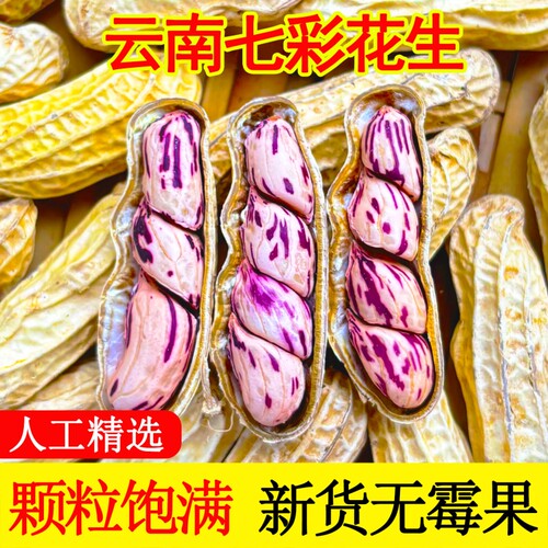 2026七彩花生晒干带壳云南特产咸干花生米牛奶花生种子籽水煮原味