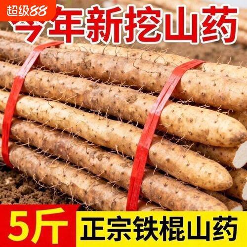 铁棍山药5斤新鲜|超1000次加购