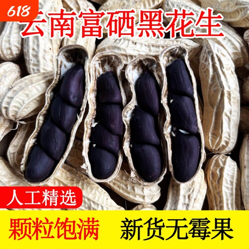 云南黑花生带壳富硒晒干特产2025年黑皮花生米七彩健康大粒新货
