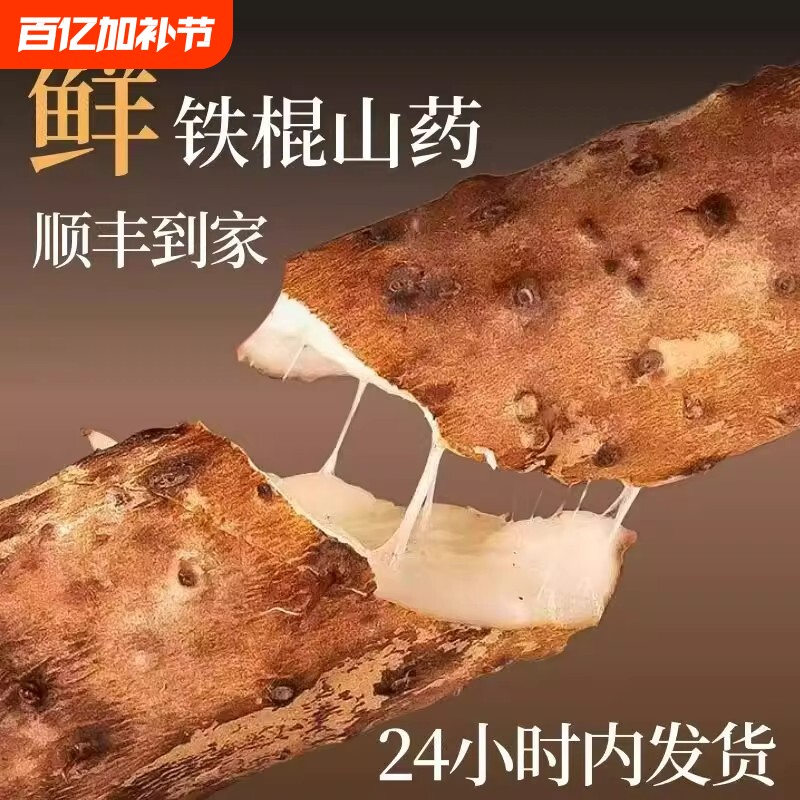 正宗河南焦作温县垆土铁棍铁杆淮山怀山药新鲜5斤特产整箱准铁桂