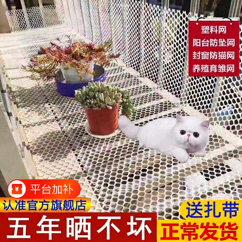 阳台防护网窗户围栏塑料网安全网防掉防盗窗垫板护栏猫封窗网网格