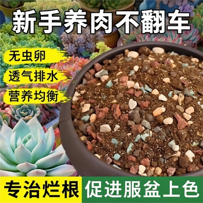 多肉颗粒土专用营养土植物泥炭种植土壤肉肉叶插小苗老桩颗粒花土