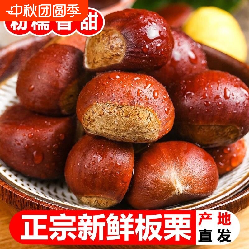 新下树正宗新鲜生现摘丹东板栗锥栗5斤栗子锥去毛球油栗仁蔬罗田