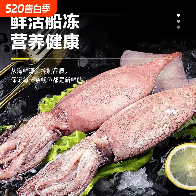 大鱿鱼新鲜冷冻新鲜枪乌贼冷冻海鲜水产烧烤食材原料生鲜鱿鱼冷冻