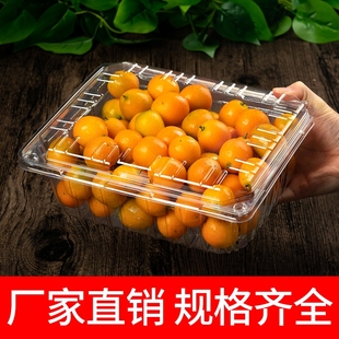 一次性水果盒子带盖卡扣透明塑料食品级包装盒长方形一斤装打包盒