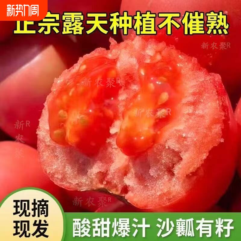 正宗安徽普罗旺斯西红柿新鲜生吃自然沙瓤水果番茄蔬露天农场爆汁