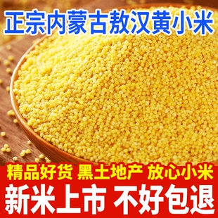 正宗敖汉小米黄小米内蒙古赤峰农家自种5斤粥杂粮金苗食用饱满