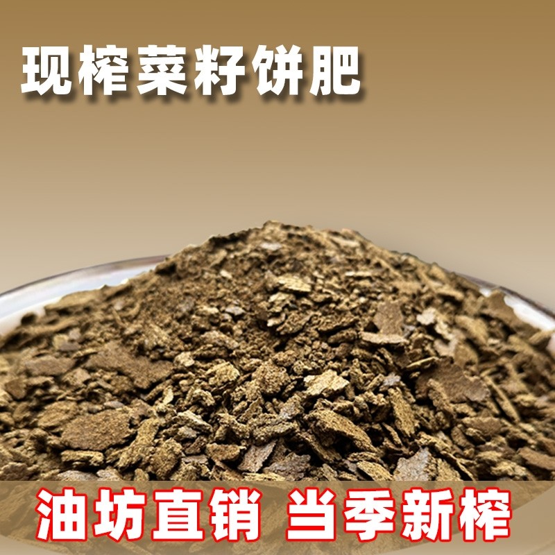 新鲜土榨菜籽油枯有机营养肥果园蔬菜种花菜籽饼钓鱼打窝野钓饵料