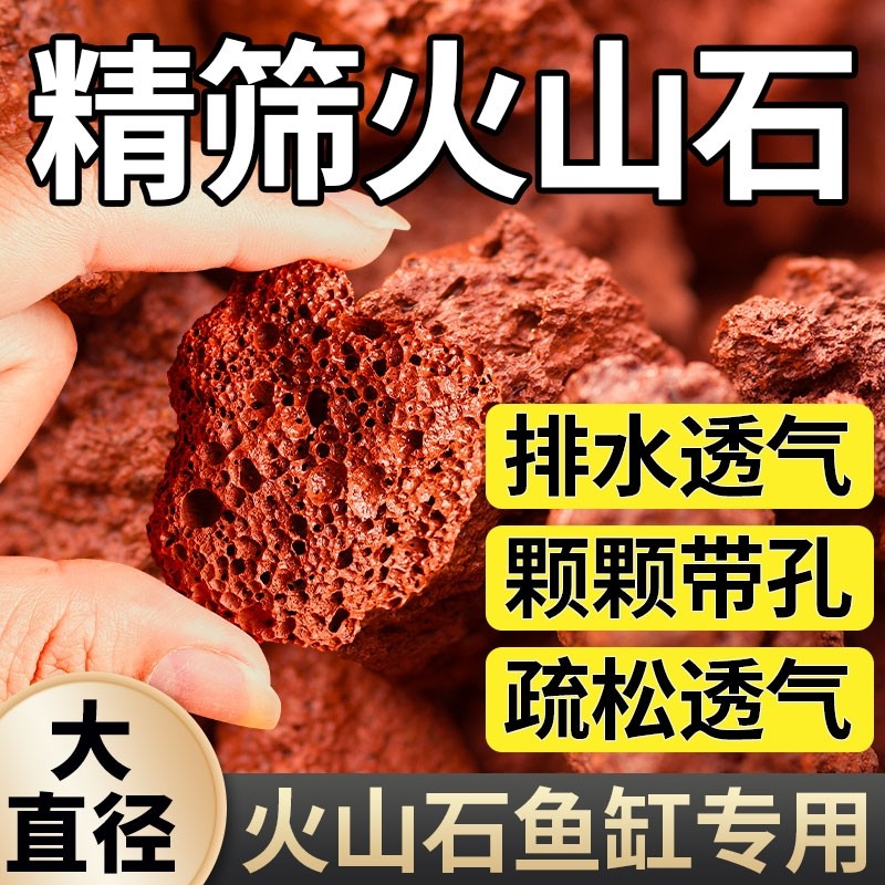 天然火山石颗粒红火山岩底砂多肉兰花石鱼缸专用营养土滤材铺面石