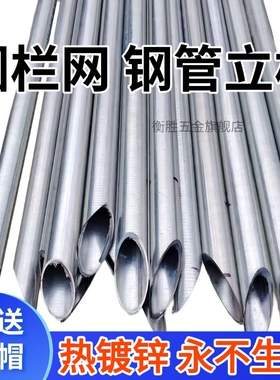 热镀锌钢管立柱养殖网立杆铁丝网立柱加厚尖头立柱铁丝围栏网栏杆