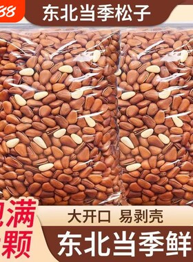 新货开口松子大开口壳东北红松松香孕妇零食散装大颗粒原味健康