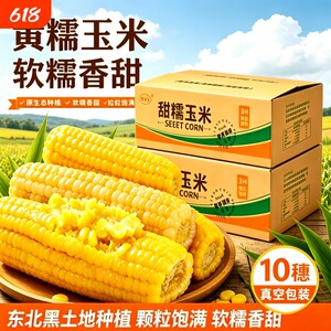 正宗东北黄糯玉米棒黏糯玉米新鲜代餐早餐加热即食真空装香甜软糯