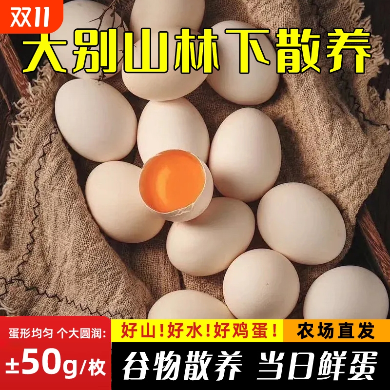 大别山土鸡蛋农家散养营养高