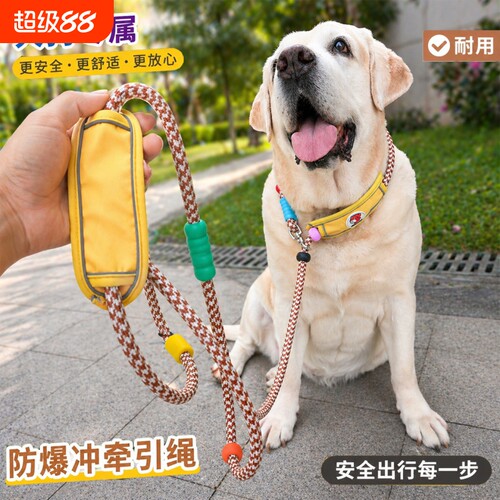 大狗加粗牵引绳 狗绳狗链脖圈宠物遛狗P链圈防爆冲幼犬多功能项圈