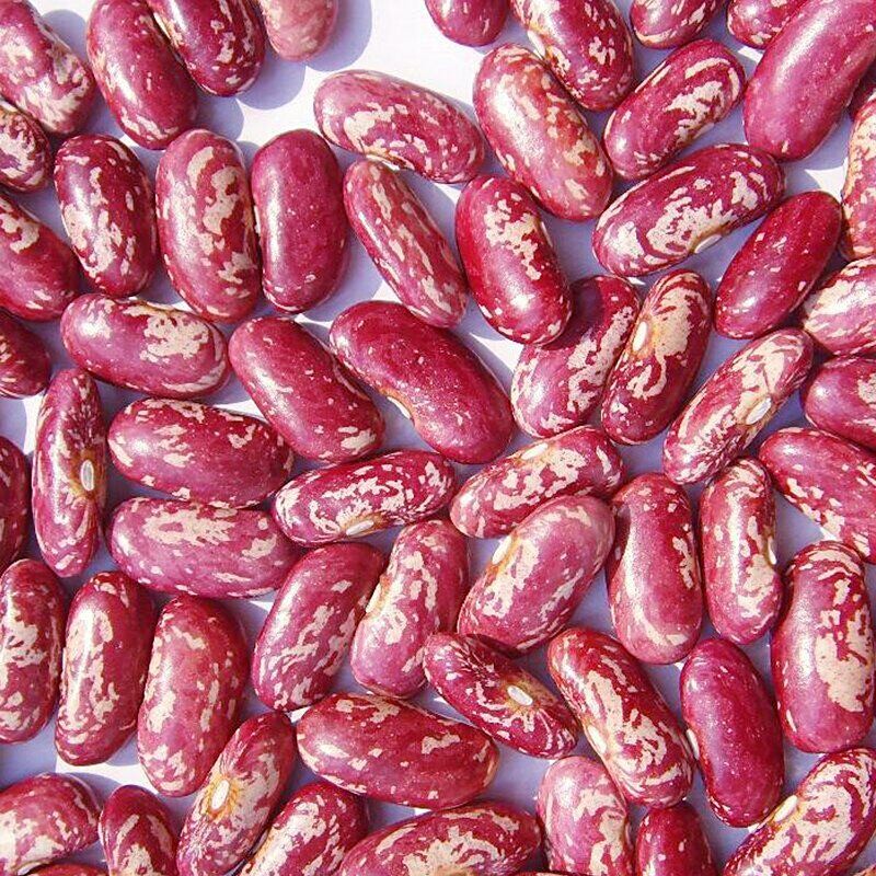 贵州红花豆精选红饭豆农家 红花芸豆四季豆红花豆杂粮