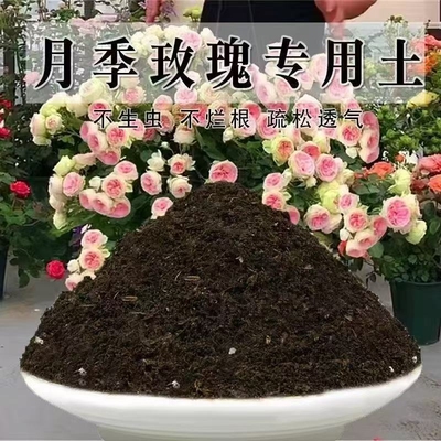 月季玫瑰花专用土营养土盆栽月季花养花透气土酸性土壤氮磷钾元素
