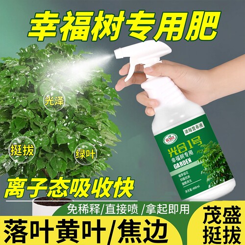 幸福树专用营养液肥料急救治黄叶落叶黑斑防掉叶干枯花肥盆栽液体