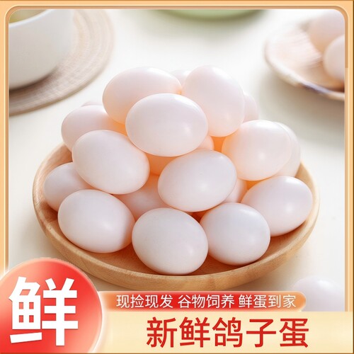 鸽场直供新鲜鸽子蛋孕妈辅食生鲜源头直发口感软嫩日常食补鸽蛋