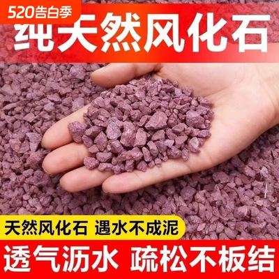 风化土海岛栀子花专用土酸性红土盆景土风化石赤玉桩专用土壤植物