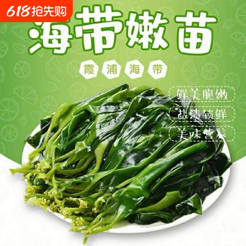 海带海带苗嫩特级新鲜裙带菜苗霞浦嫩盐渍凉拌菜火锅食材商用批发