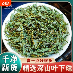 广西深山叶下珠材新货干品草珍珠草龙珠草夜合草新鲜