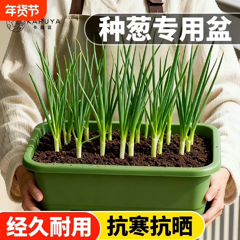 阳台种菜盆加厚长方形塑料盆家庭蔬菜种植盆种菜神器大号耐用花盆,鲜花速递/花卉仿真/绿植园艺,花盆,淘宝优惠券,粉丝福利购,淘宝优惠卷