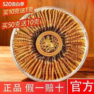 虫草正宗整草干货礼盒装 滋补 假一赔十冬虫夏草2025年那曲头期正品