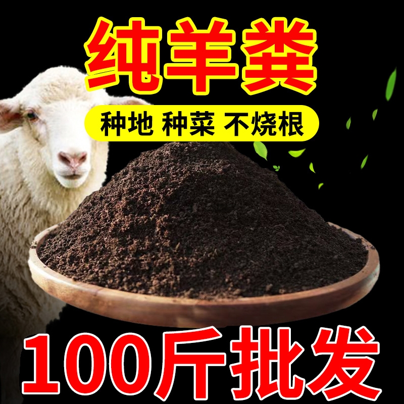 腐熟羊粪发酵有机肥料内蒙古纯羊粪蛋子腐熟纯羊粪100斤批发一吨