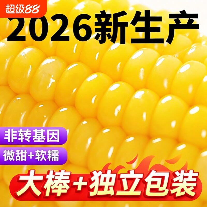 东北黄糯玉米香甜软糯新鲜玉米黑土种植产地直发真空包装加热即食