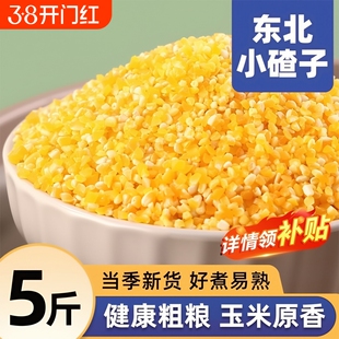 东北玉米碴子小碴子粥粘玉米糁细小玉米粒黏笨苞米碎粒农家自产