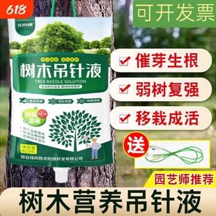 大树营养液吊针液果树木复活液桂花树专用营养液移栽生根剂通用型