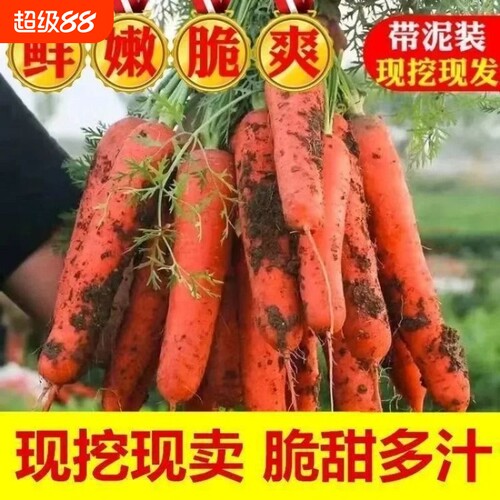 农家现挖新鲜胡萝卜沙地脆甜红胡萝卜当季新鲜蔬菜整箱包邮