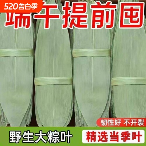 粽子叶粽叶干大号棕叶新鲜包粽子的竹叶子干粽叶商用箬叶材料批发