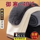 冬季 保暖裤 羊毛加厚加绒裤 啄木鸟羊羔绒内穿男士 东北护膝驼绒 棉裤